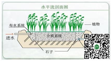人工濕地及其應用