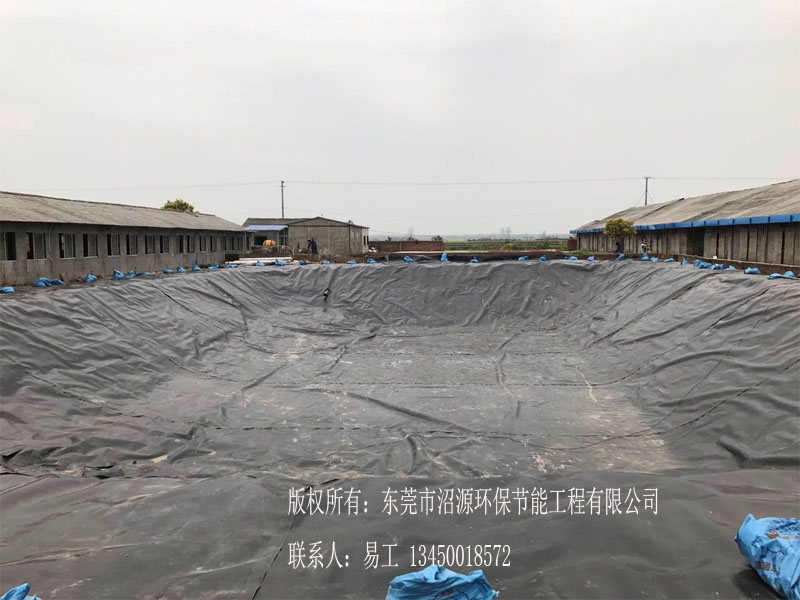 湖南沅江市黑膜沼氣池現(xiàn)場