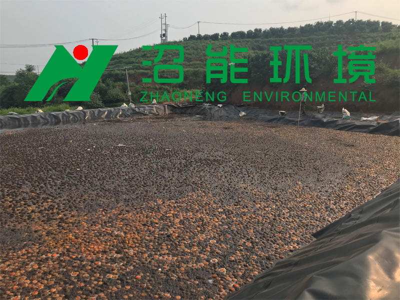 廣西南寧市邕寧區(qū)百濟(jì)鎮(zhèn)3000立方黑膜沼氣工程 黑膜沼氣池