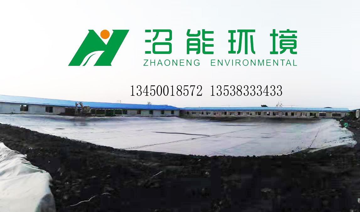 湖北潛江13000立方黑膜沼氣工程 黑膜沼氣池 厭氧發(fā)酵新技術