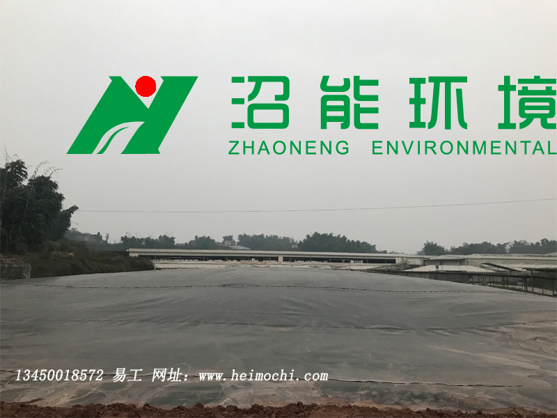 重慶榮昌某豬場(chǎng)10000立方黑膜沼氣工程 黑膜沼氣池